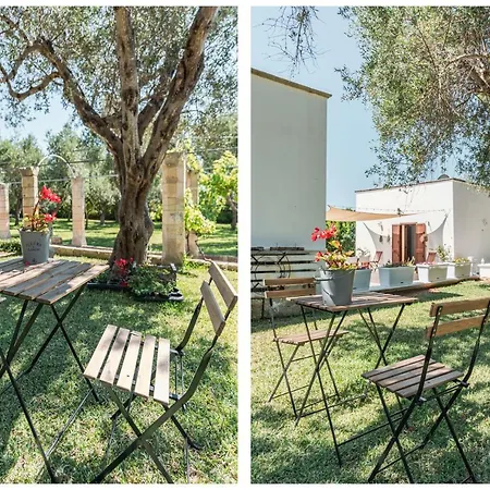 Villa Casina Ulivo *