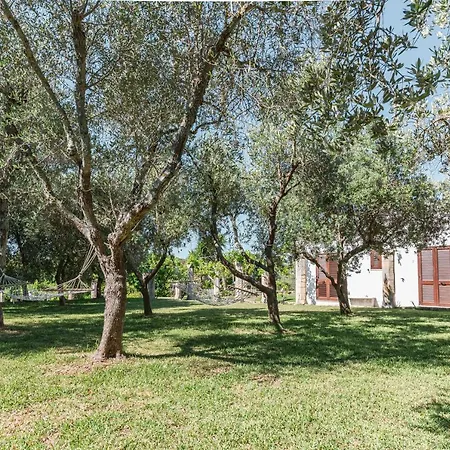 Villa Casina Ulivo *