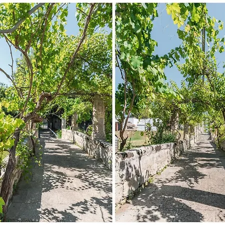 Villa Casina Ulivo Otranto